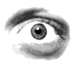 eye3.gif (8965 bytes)